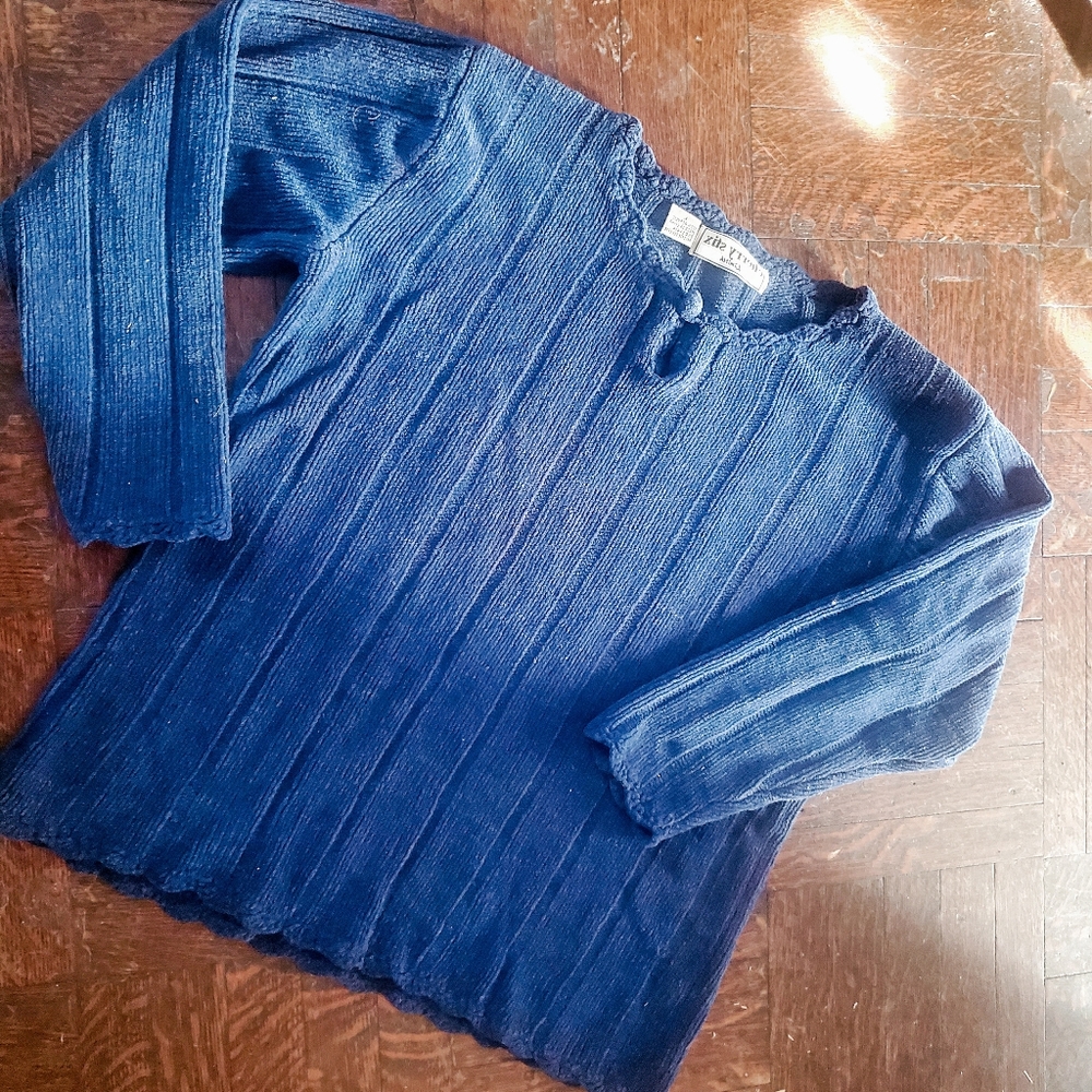 Blue velour sweater